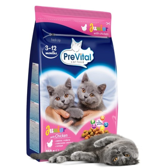 PREVITAL PREVITAL kurczak karma sucha karma kocięta 0,95kg PREVITAL PREVITAL kurczak karma sucha karma kocięta 0,95kg