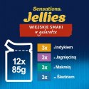 PURINA NESTLE FELIX Sensations indyk, makrela, jagnięcina - mokra karma dla kota - 12x 85g