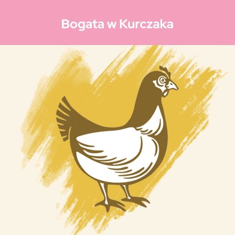 PURINA NESTLE PURINA CAT CHOW Kitten Chicken - sucha karma dla kociąt - 1,5 kg PURINA NESTLE PURINA CAT CHOW Kitten Chicken - sucha karma dla kociąt - 1,5 kg