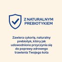 PURINA NESTLE PURINA CAT CHOW Kitten Chicken - sucha karma dla kociąt - 1,5 kg