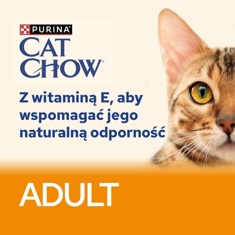 PURINA NESTLE PURINA Cat Chow Kurczak, cukinia - mokra karma dla kota - 10x85 g PURINA NESTLE PURINA Cat Chow Kurczak, cukinia - mokra karma dla kota - 10x85 g