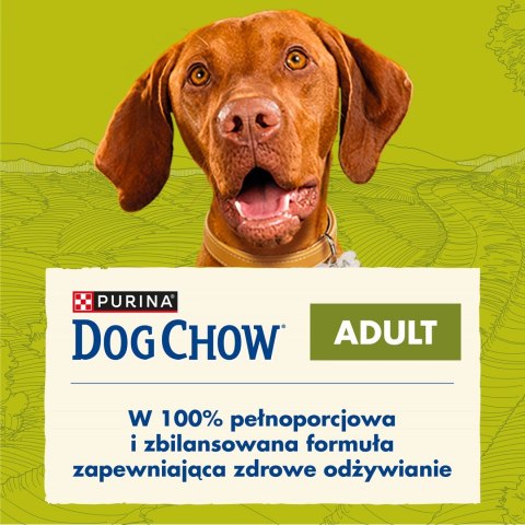 PURINA NESTLE PURINA DOG CHOW Adult Jagnięcina - sucha karma dla psa - 14 kg PURINA NESTLE PURINA DOG CHOW Adult Jagnięcina - sucha karma dla psa - 14 kg