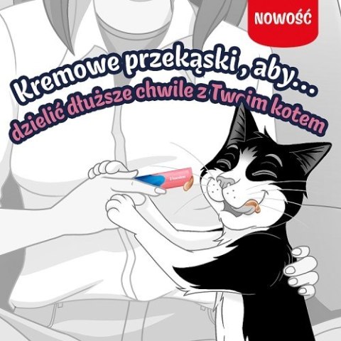 PURINA NESTLE PURINA FELIX Deli Moments Salmon 4x10g PURINA NESTLE PURINA FELIX Deli Moments Salmon 4x10g