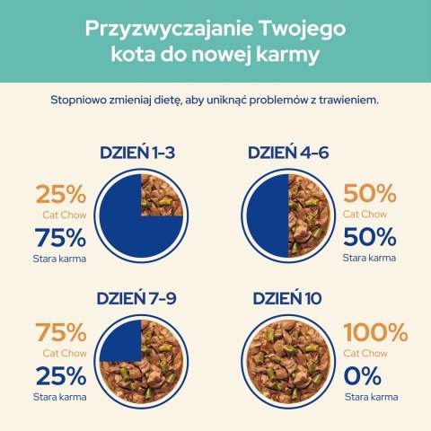 PURINA NESTLE Purina Cat Chow Hairball z kurczakiem i zieloną fasolką w sosie - mokra karma dla kota - 85 g PURINA NESTLE Purina Cat Chow Hairball z kurczakiem i zieloną fasolką w sosie - mokra karma dla kota - 85 g