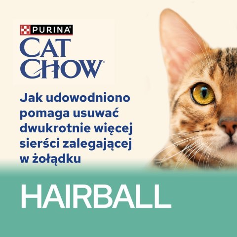 PURINA NESTLE Purina Cat Chow Hairball z kurczakiem i zieloną fasolką w sosie - mokra karma dla kota - 85 g PURINA NESTLE Purina Cat Chow Hairball z kurczakiem i zieloną fasolką w sosie - mokra karma dla kota - 85 g