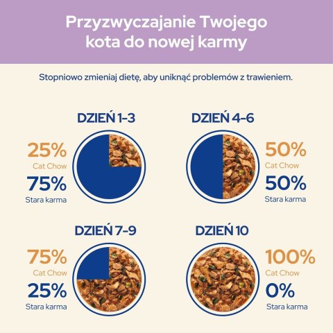 PURINA NESTLE Purina Cat Chow Sensitive z łososiem i cukinią w sosie - mokra karma dla kota - 85 g PURINA NESTLE Purina Cat Chow Sensitive z łososiem i cukinią w sosie - mokra karma dla kota - 85 g