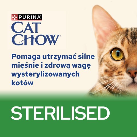 PURINA NESTLE Purina Cat Chow Sterilised z jagnięciną i zieloną fasolką w sosie - mokra karma dla kota - 85 g PURINA NESTLE Purina Cat Chow Sterilised z jagnięciną i zieloną fasolką w sosie - mokra karma dla kota - 85 g