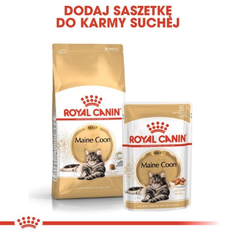 Royal Canin ROYAL CANIN FBN Maine Coon - mokra karma dla dorosłego kota - 12x85g Royal Canin ROYAL CANIN FBN Maine Coon - mokra karma dla dorosłego kota - 12x85g