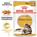 Royal Canin ROYAL CANIN FBN Maine Coon - mokra karma dla dorosłego kota - 12x85g