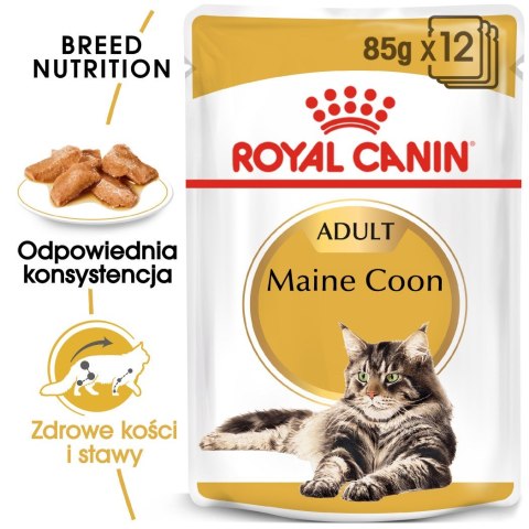 Royal Canin ROYAL CANIN FBN Maine Coon - mokra karma dla dorosłego kota - 12x85g Royal Canin ROYAL CANIN FBN Maine Coon - mokra karma dla dorosłego kota - 12x85g