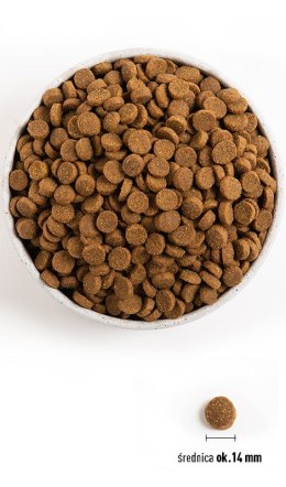 ACANA ACANA Wild Coast Dog 2kg (N)