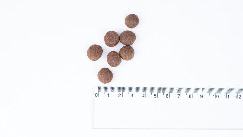 Bult BULT indyk sucha karma dla dorosłych psów 12kg Bult BULT indyk sucha karma dla dorosłych psów 12kg