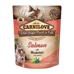 CARNILOVE CARNILOVE DOG POUCH SALMON&BLUEBERRIES PUPPIES 300G