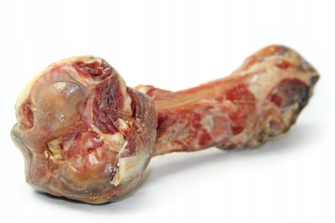 Eden Eden Kość Prosciutto Udowa Cała 300g Eden Eden Kość Prosciutto Udowa Cała 300g