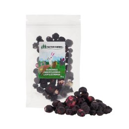 Factoryherbs FACTORYHERBS Borówka amerykańska liofilizowana 10g