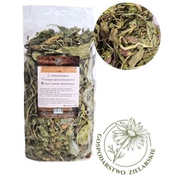 Factoryherbs FACTORYHERBS Gosp.Zielarskie BABKA SZEROKOLISTNA500g