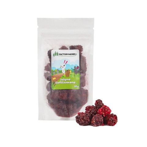 Factoryherbs FACTORYHERBS Jeżyna liofilizowana 20g Factoryherbs FACTORYHERBS Jeżyna liofilizowana 20g