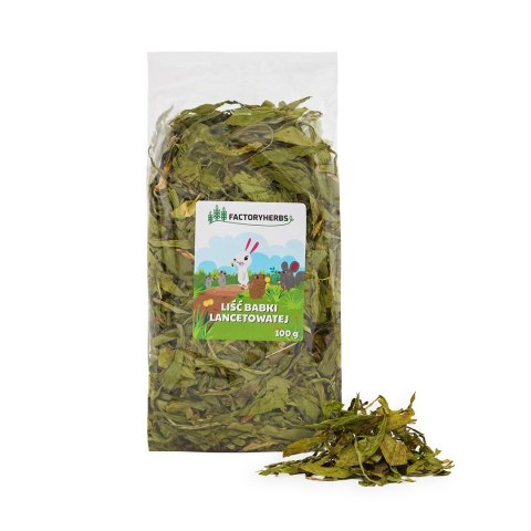Factoryherbs FACTORYHERBS Liść babki lancetowatej 100g Factoryherbs FACTORYHERBS Liść babki lancetowatej 100g