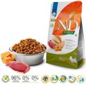 Farmina FARMINA N&D Pumpkin Dog Duck Cantaloupe Adult Mini - sucha karma dla psa - 2 kg
