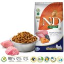 Farmina FARMINA N&D Pumpkin Lamb & Blueberry Adult Mini - sucha karma dla psa - 7 kg