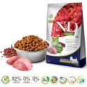 Farmina FARMINA N&D Quinoa Dog Digestion Adult Mini - sucha karma dla psa - 800 g
