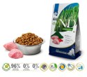 Farmina FARMINA N&D Spirulina Lamb Puppy Medium&Maxi - sucha karma dla psa - 2 kg