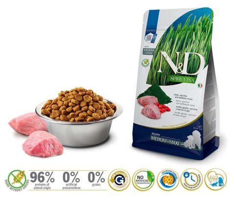 Farmina FARMINA N&D Spirulina Lamb Puppy Medium&Maxi - sucha karma dla psa - 2 kg Farmina FARMINA N&D Spirulina Lamb Puppy Medium&Maxi - sucha karma dla psa - 2 kg