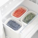 Rotho Rotho Freeze zestaw pojemników do mrożenia 3 x 1l