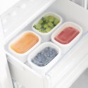 Rotho Rotho Freeze zestaw pojemników do mrożenia 4 x 0,5l