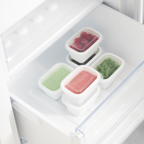 Rotho Rotho Freeze zestaw pojemników do mrożenia 6 x 0,25l Rotho Rotho Freeze zestaw pojemników do mrożenia 6 x 0,25l