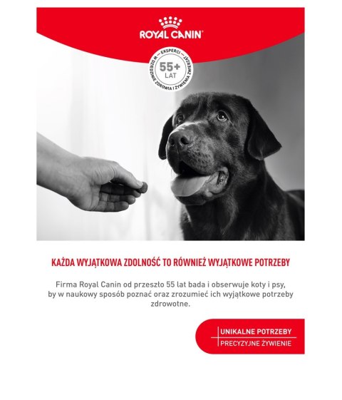 Royal Canin ROYAL CANIN Digestion Adult Dog Supplements 160g Royal Canin ROYAL CANIN Digestion Adult Dog Supplements 160g