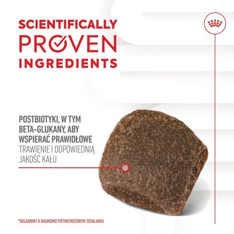 Royal Canin ROYAL CANIN Digestion Adult Dog Supplements 160g Royal Canin ROYAL CANIN Digestion Adult Dog Supplements 160g