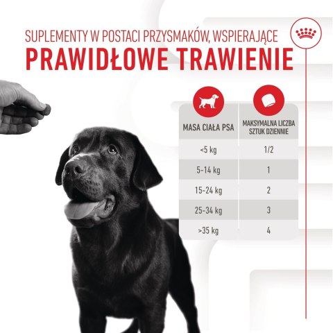 Royal Canin ROYAL CANIN Digestion Adult Dog Supplements 160g Royal Canin ROYAL CANIN Digestion Adult Dog Supplements 160g