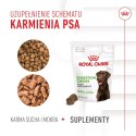 Royal Canin ROYAL CANIN Digestion Adult Dog Supplements 160g