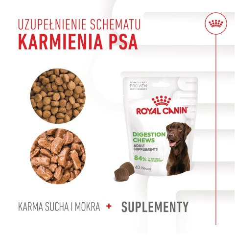 Royal Canin ROYAL CANIN Digestion Adult Dog Supplements 160g Royal Canin ROYAL CANIN Digestion Adult Dog Supplements 160g