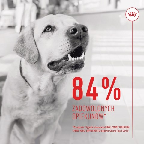 Royal Canin ROYAL CANIN Digestion Adult Dog Supplements 160g Royal Canin ROYAL CANIN Digestion Adult Dog Supplements 160g
