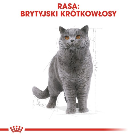 Royal Canin ROYAL CANIN FBN British Shorthair Adult - sucha karma dla dorosłego kota - 2kg Royal Canin ROYAL CANIN FBN British Shorthair Adult - sucha karma dla dorosłego kota - 2kg
