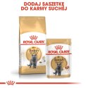 Royal Canin ROYAL CANIN FBN British Shorthair Adult - sucha karma dla dorosłego kota - 2kg