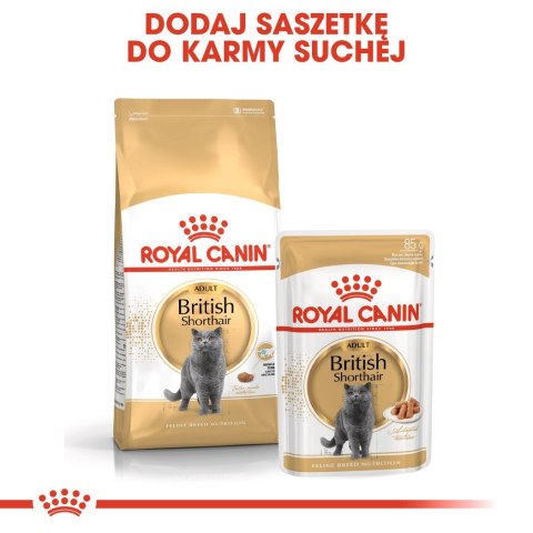 Royal Canin ROYAL CANIN FBN British Shorthair Adult - sucha karma dla dorosłego kota - 2kg Royal Canin ROYAL CANIN FBN British Shorthair Adult - sucha karma dla dorosłego kota - 2kg