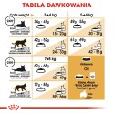 Royal Canin ROYAL CANIN FBN British Shorthair Adult - sucha karma dla dorosłego kota - 2kg