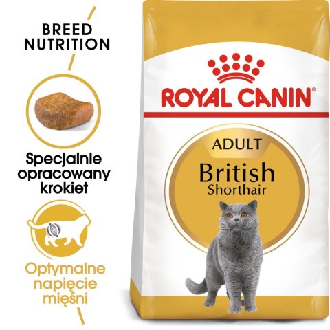 Royal Canin ROYAL CANIN FBN British Shorthair Adult - sucha karma dla dorosłego kota - 2kg Royal Canin ROYAL CANIN FBN British Shorthair Adult - sucha karma dla dorosłego kota - 2kg