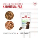 Royal Canin ROYAL CANIN Immunity&Digestion Supplements 100g