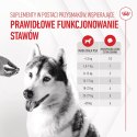 Royal Canin ROYAL CANIN Joint&Ageing Adult Dog Supplements 240g