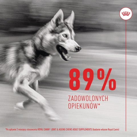 Royal Canin ROYAL CANIN Joint&Ageing Adult Dog Supplements 240g Royal Canin ROYAL CANIN Joint&Ageing Adult Dog Supplements 240g