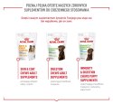 Royal Canin ROYAL CANIN Joint&Ageing Adult Dog Supplements 240g