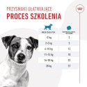 Royal Canin ROYAL CANIN Training Treat Dog 110g