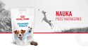 Royal Canin ROYAL CANIN Training Treat Dog 110g
