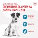 Royal Canin ROYAL CANIN Training Treat Dog 110g