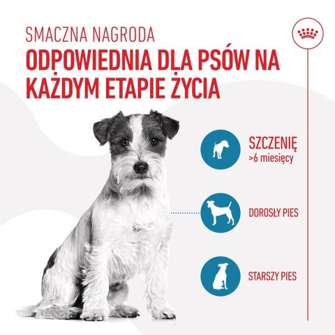 Royal Canin ROYAL CANIN Training Treat Dog 110g Royal Canin ROYAL CANIN Training Treat Dog 110g