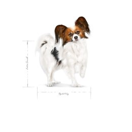 Royal Canin Royal Canin SHN Xsmall Adult 0,5kg